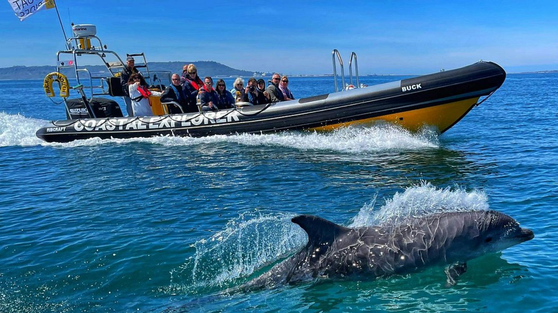 Rib Rides and Tours from Weymouth